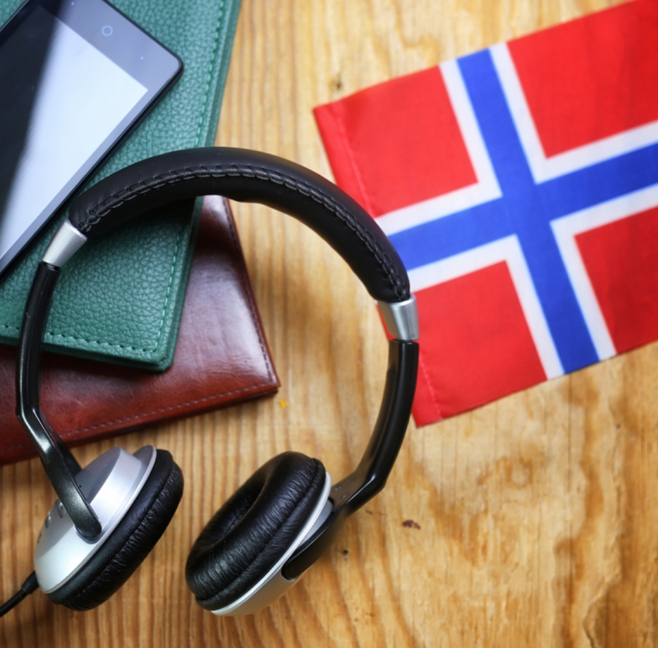 Norwegian Translation Services